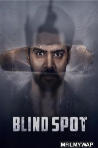Blind Spot (2025) Telugu Movie